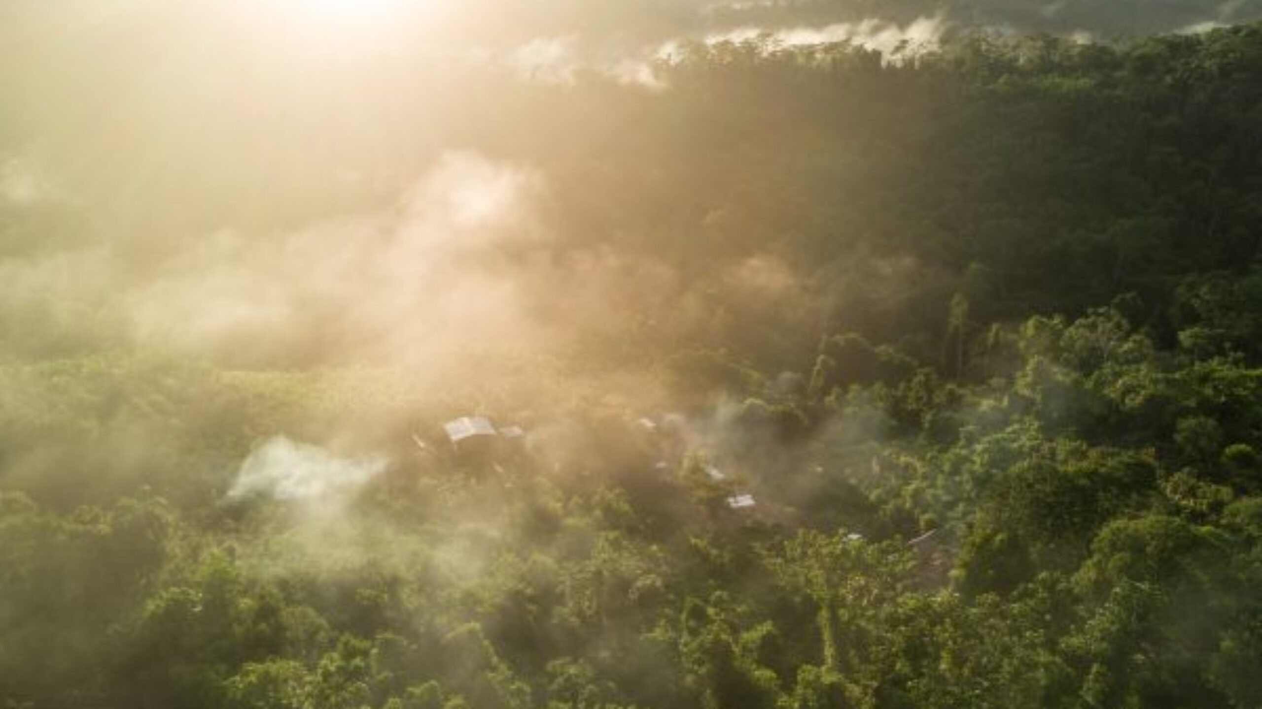 IPBES Report | Biodiversity loss is a social and ecological emergency