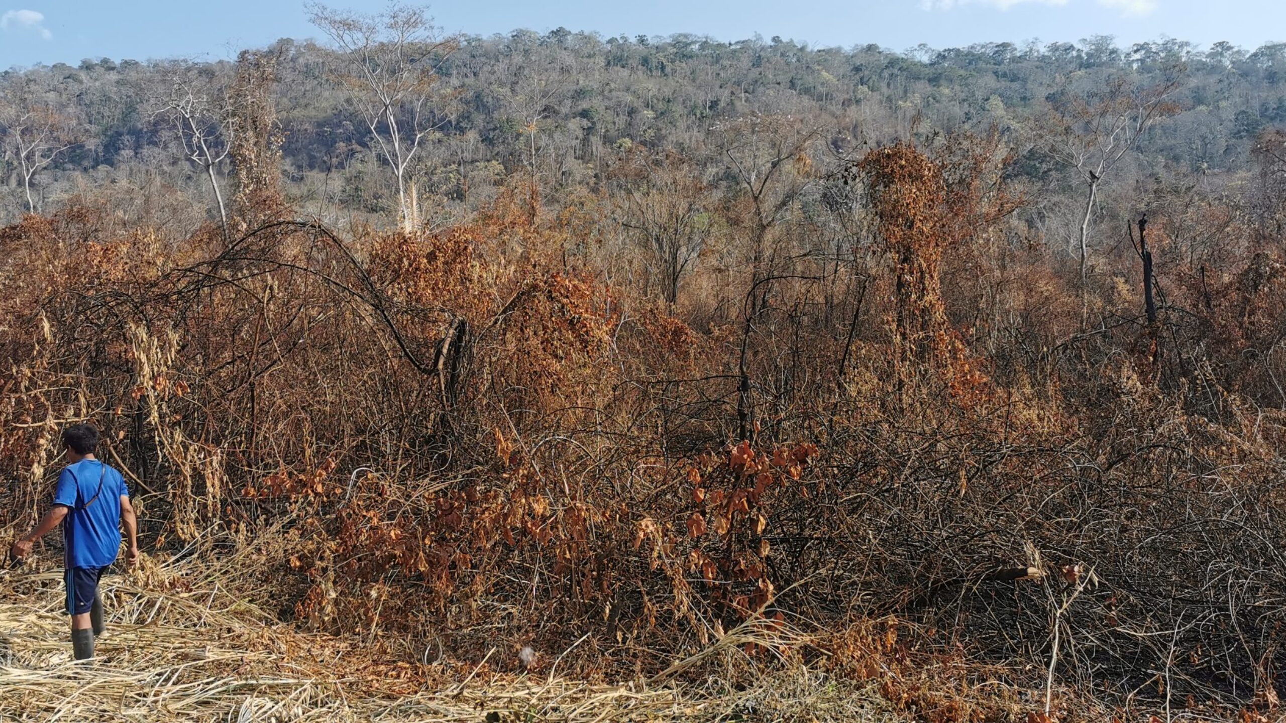 The Asháninka speak up to put fires out