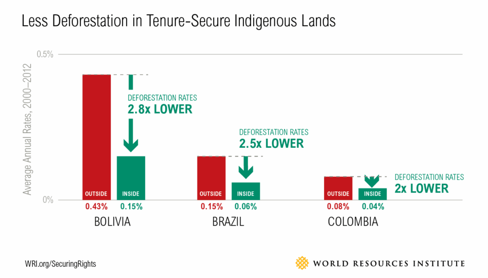 https://staging-coolearth2.picl.co.uk/wp-content/uploads/2025/07/Less-deforestation-in-tenure-secure-indigenous-lands_World-Resource-Institute.png