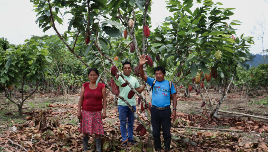 Review of cash giving in Peru