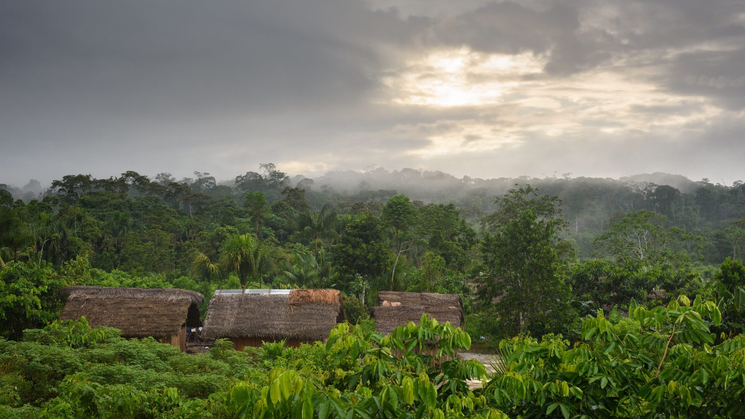 Tax-Deductible Donations to Cool Earth