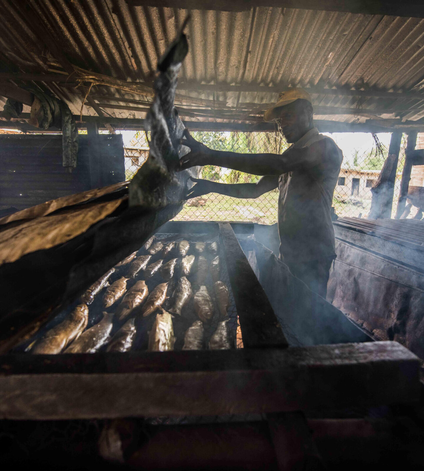 Our Forest, Our Future