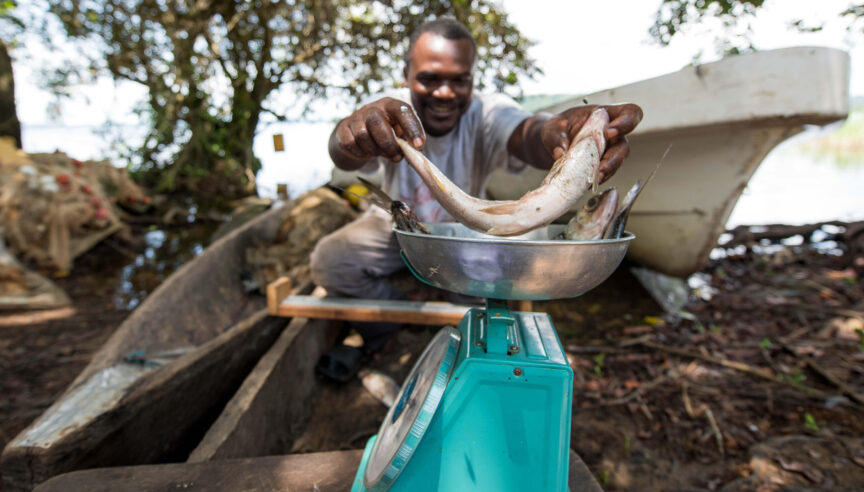 Martial Angoue, the accountant at AMVEN, documenting the weight, size and type of fish caught daily. © Roshni Lodhia