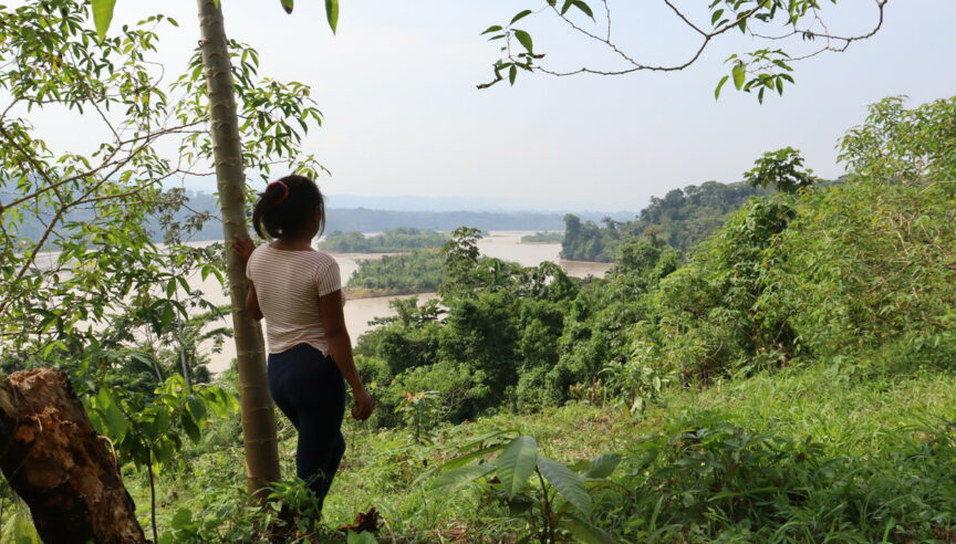 Can basic income save rainforests?