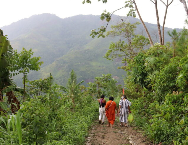 Who protects the Amazon?