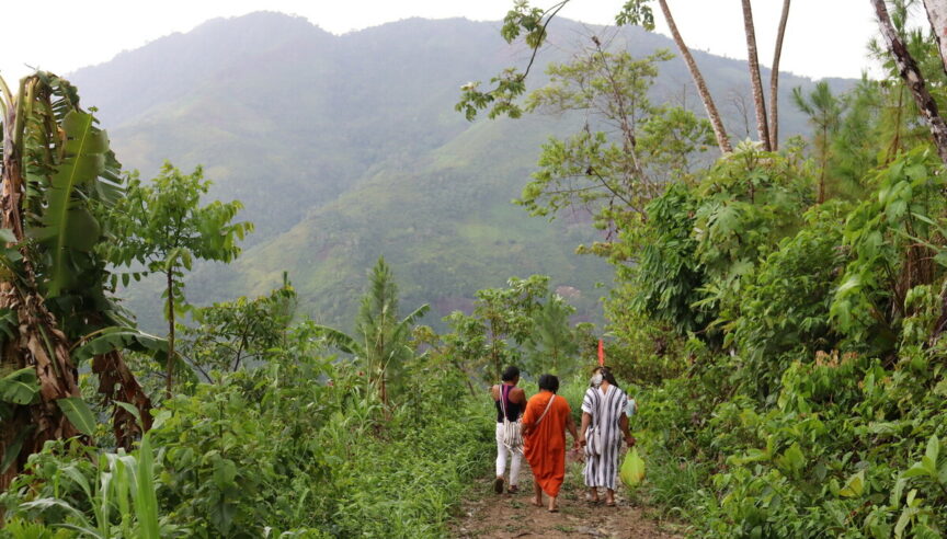 Cash for conservation? 