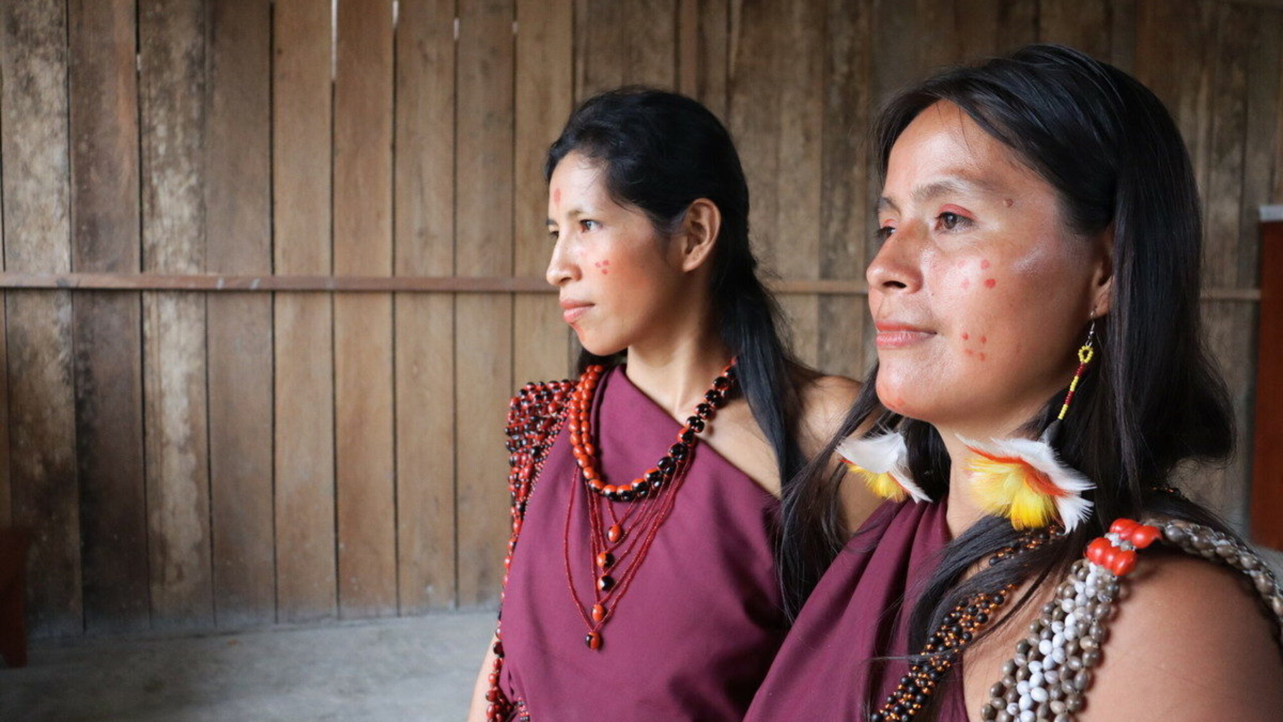 A step backward in recognising Indigenous rights