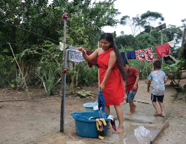 3 ways rainforest communities use cash