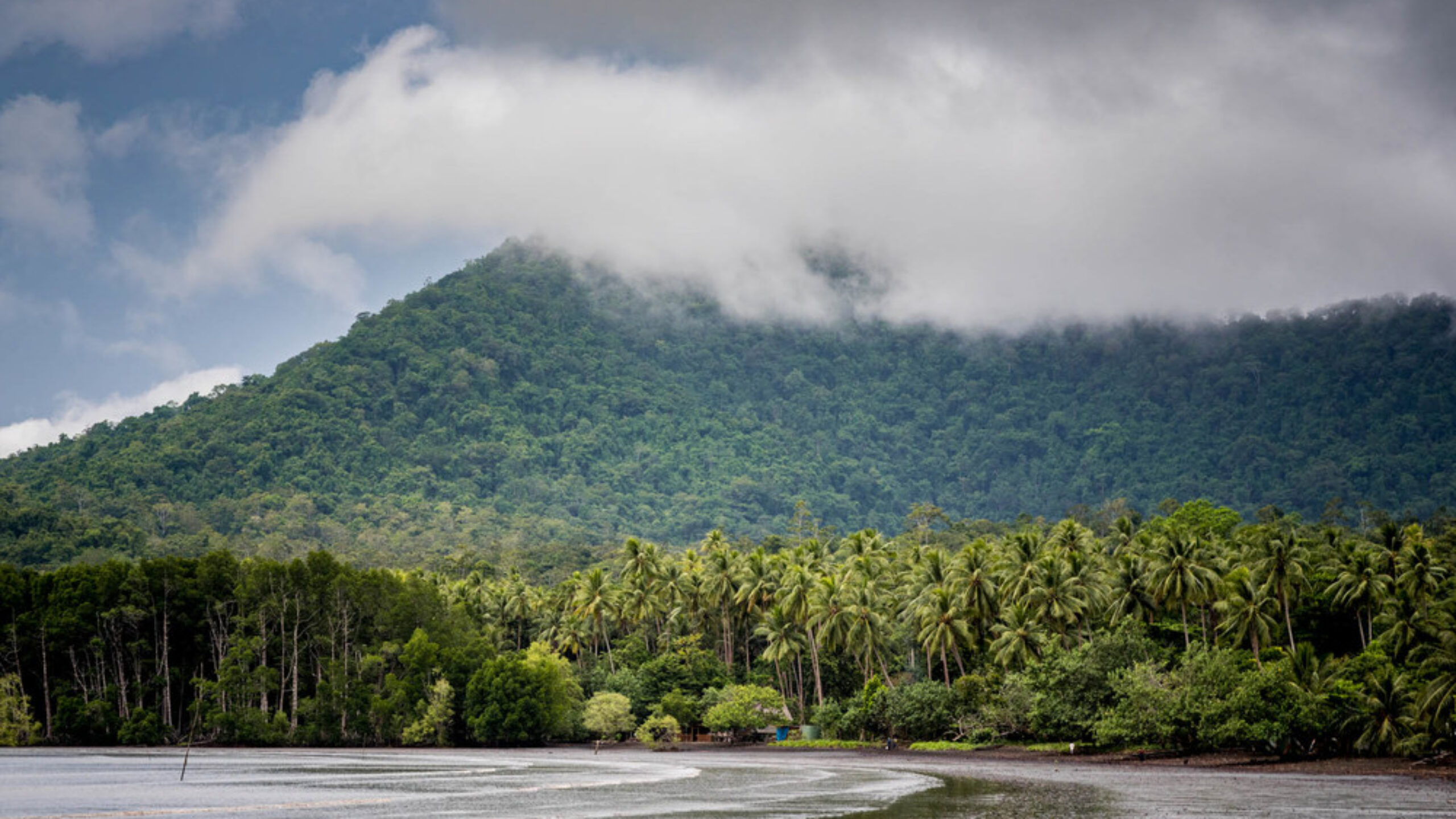 From hero to zero? Cool Earth examines The UK government’s Net Zero strategy