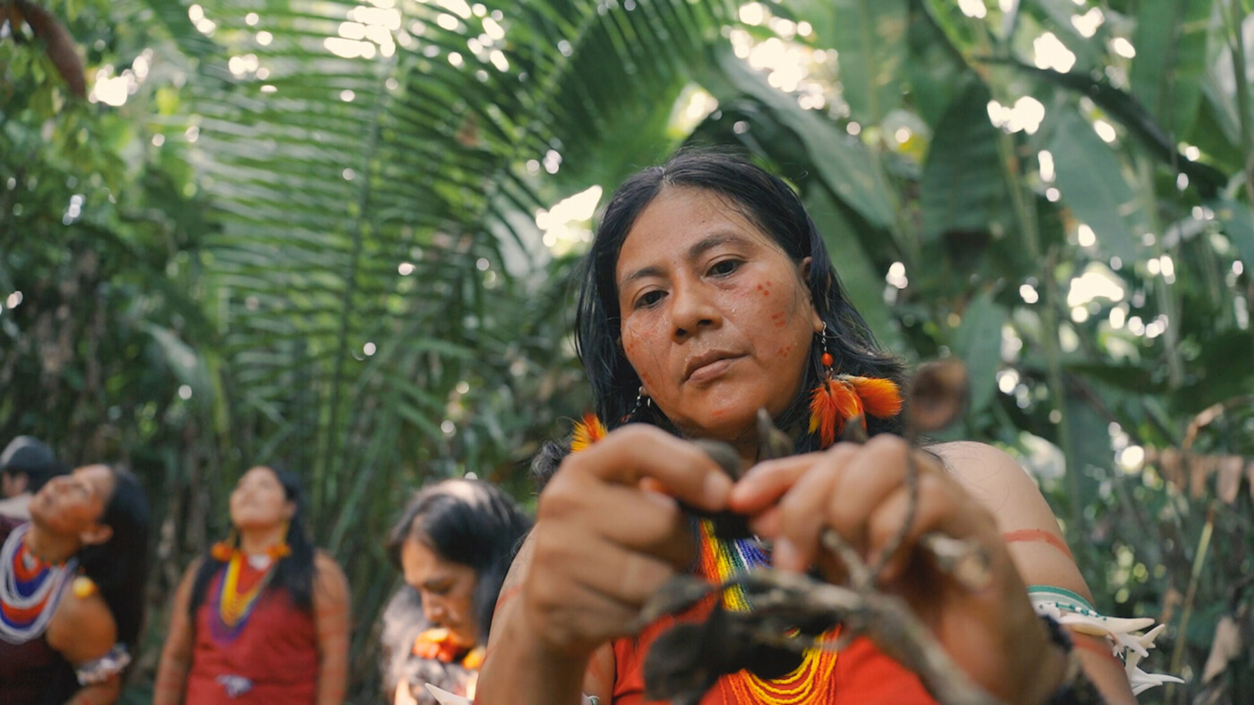 Indigenous rainforests are the climate solution we can’t ignore