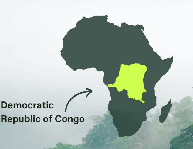 Guardians of the Congo