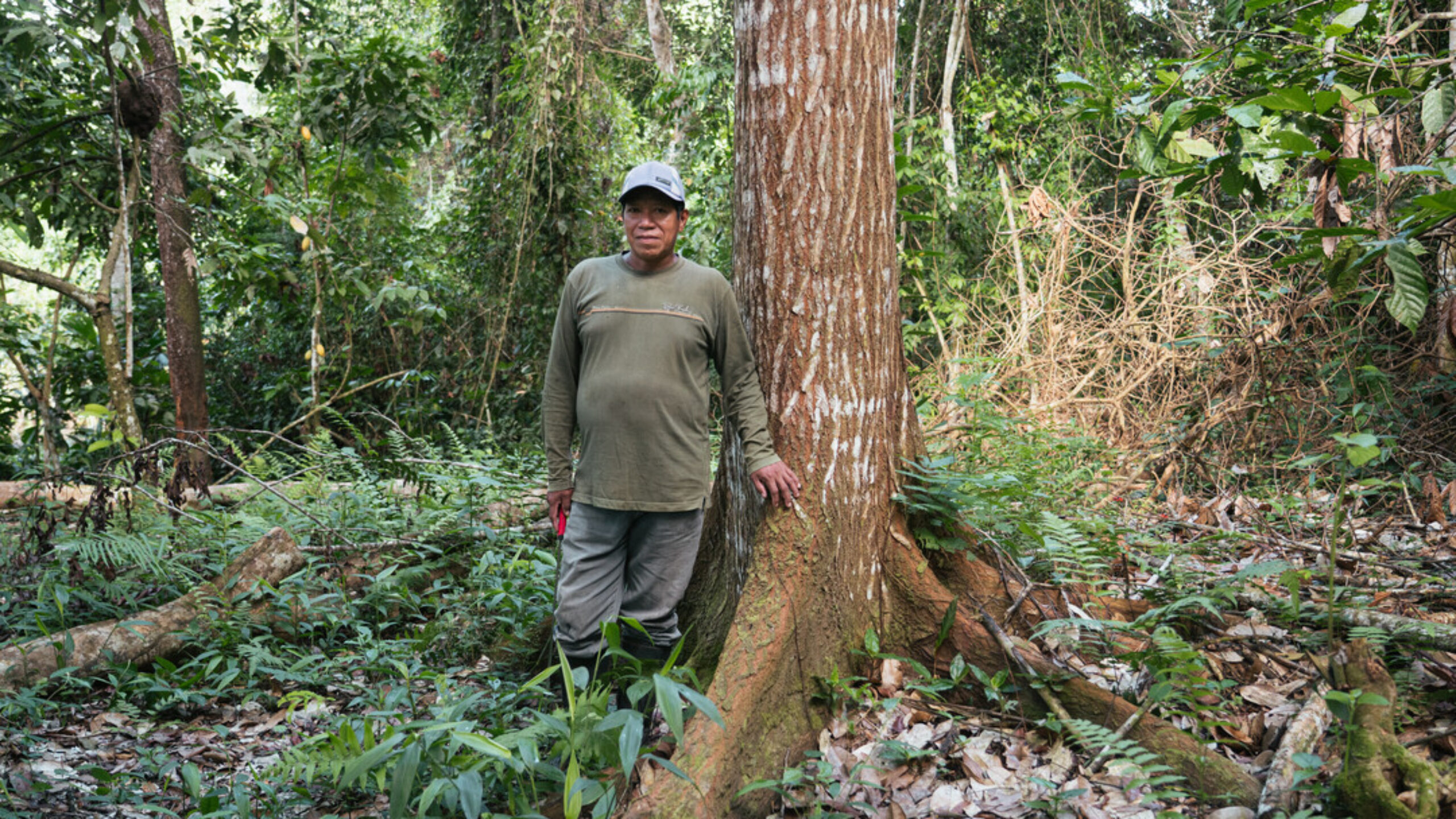 Honouring Indigenous connections to nature