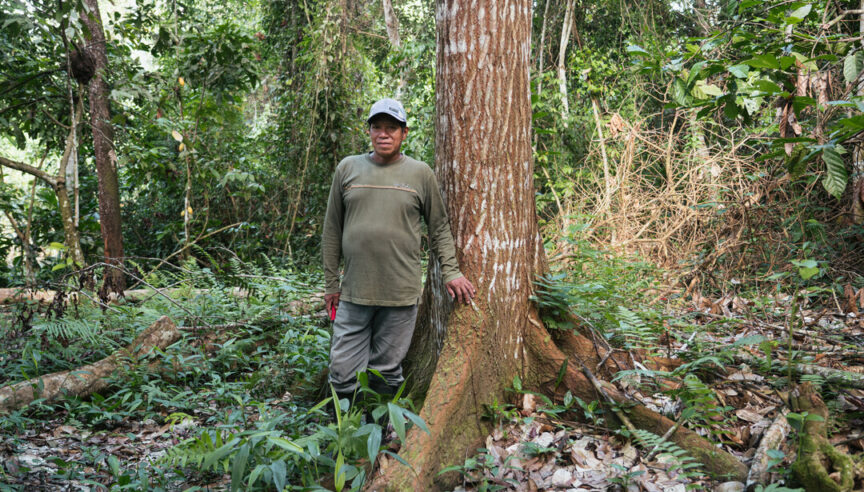 Conservation BI: a good idea?