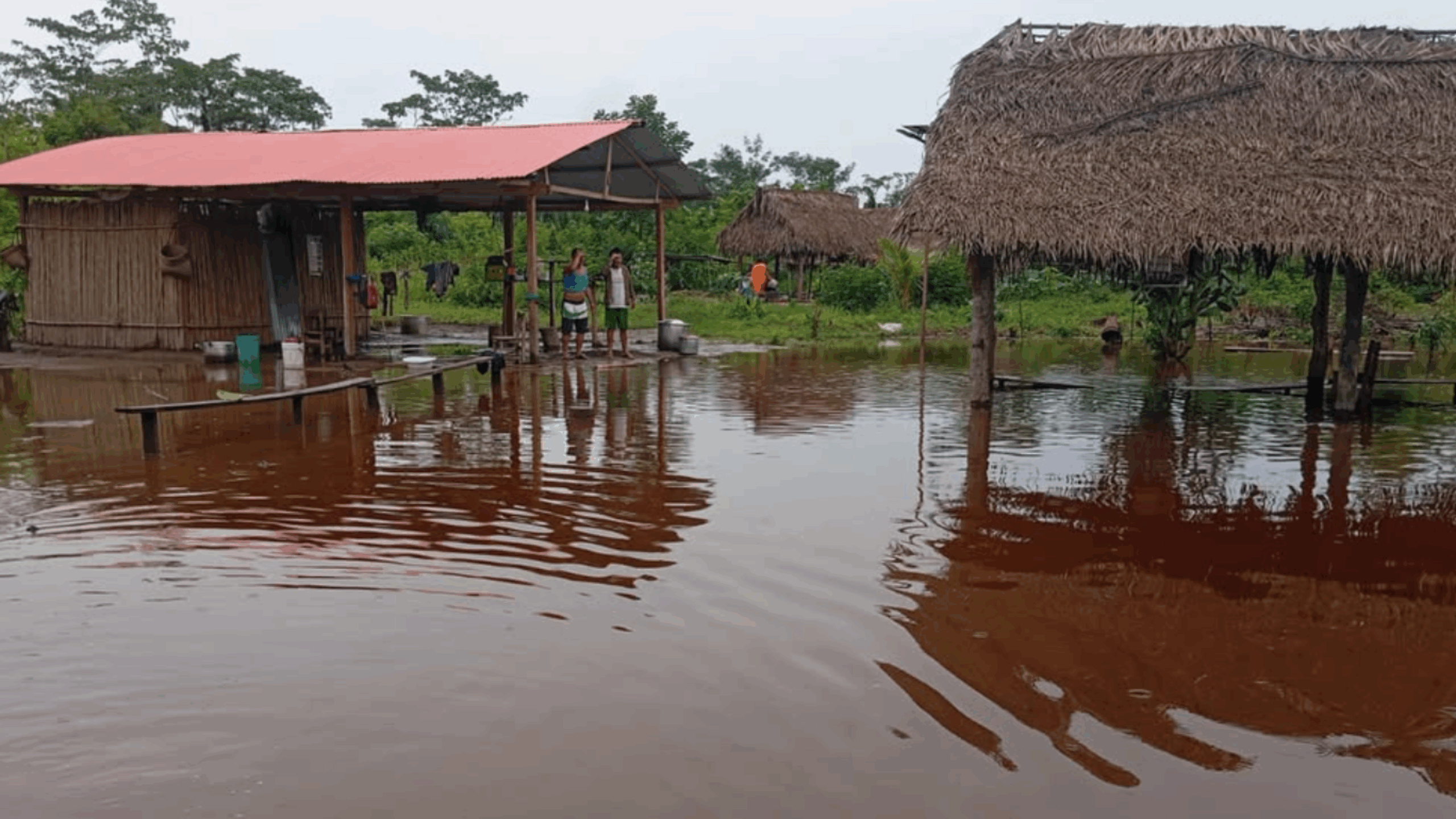 The Hidden Impact of International Aid Cuts