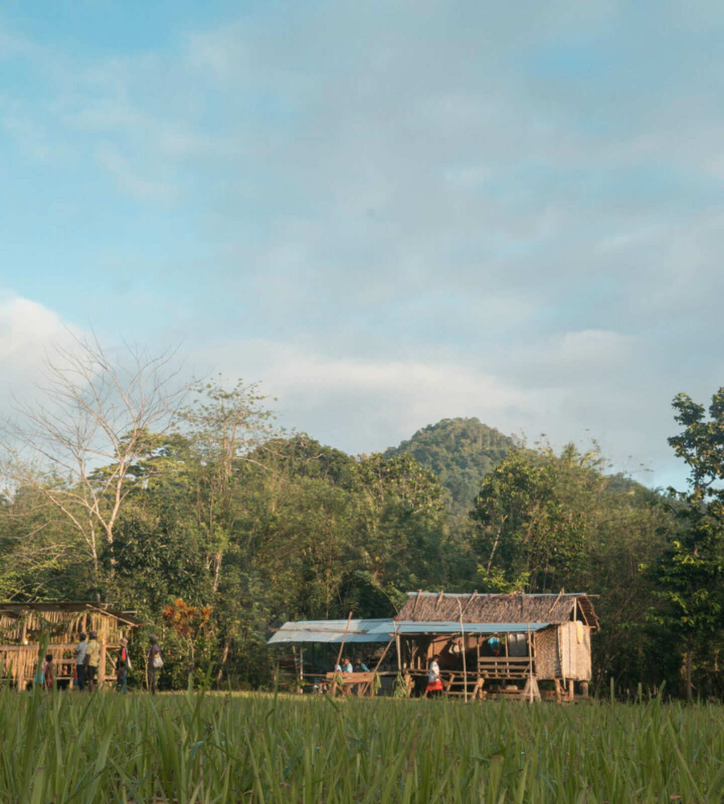 Protecting rainforests one village at a time