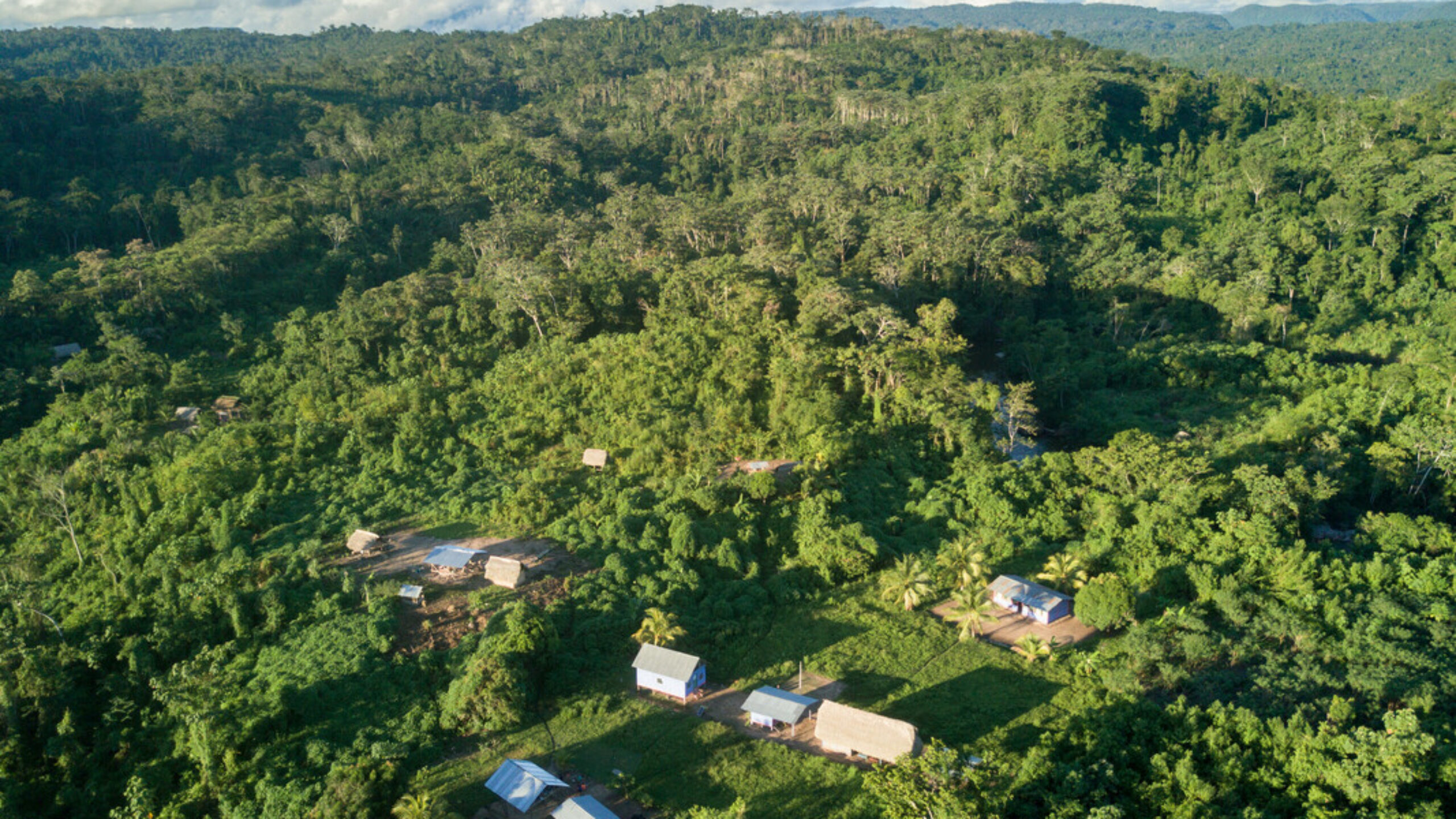 A landmark deforestation pledge: Cool Earth responds