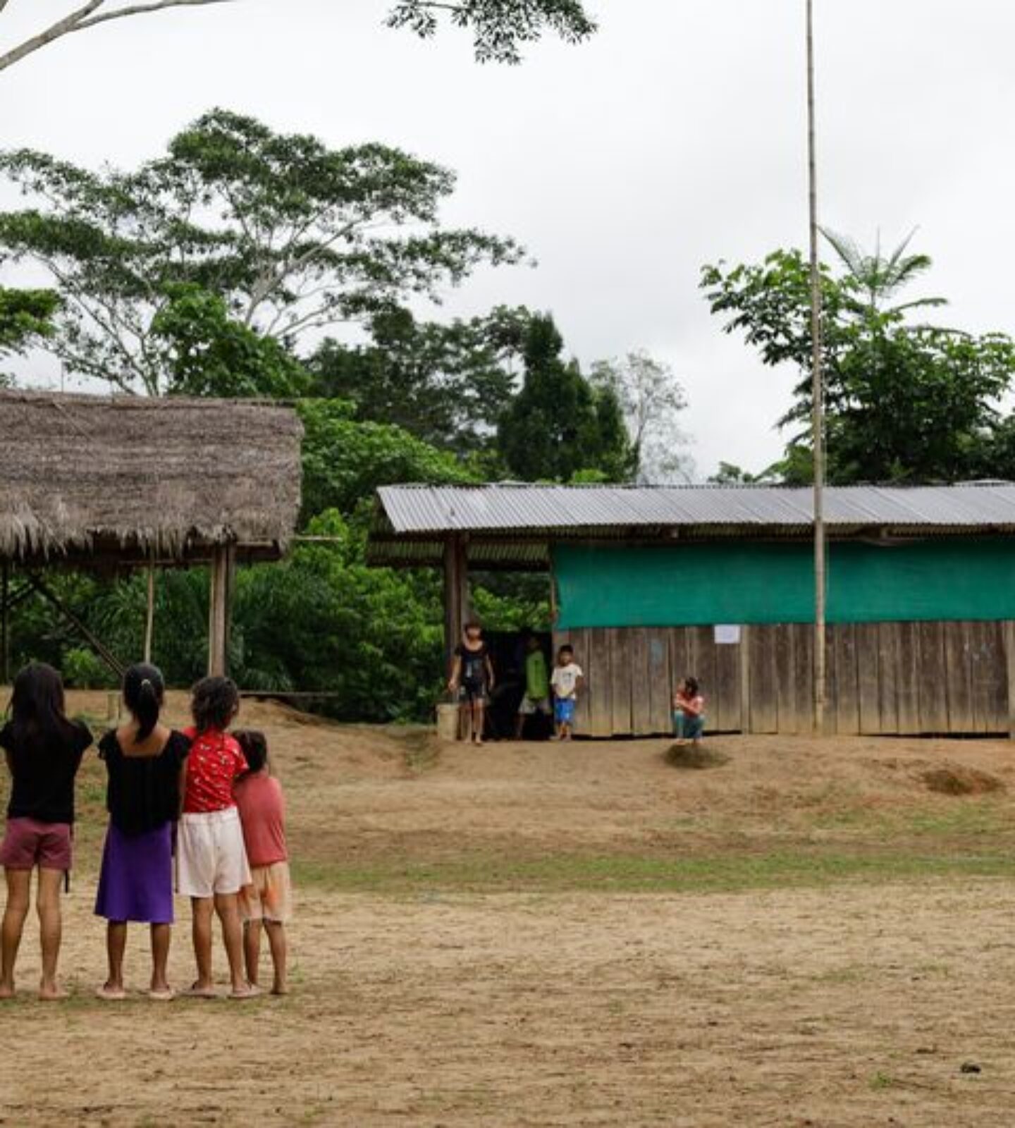 Our Rainforest Research