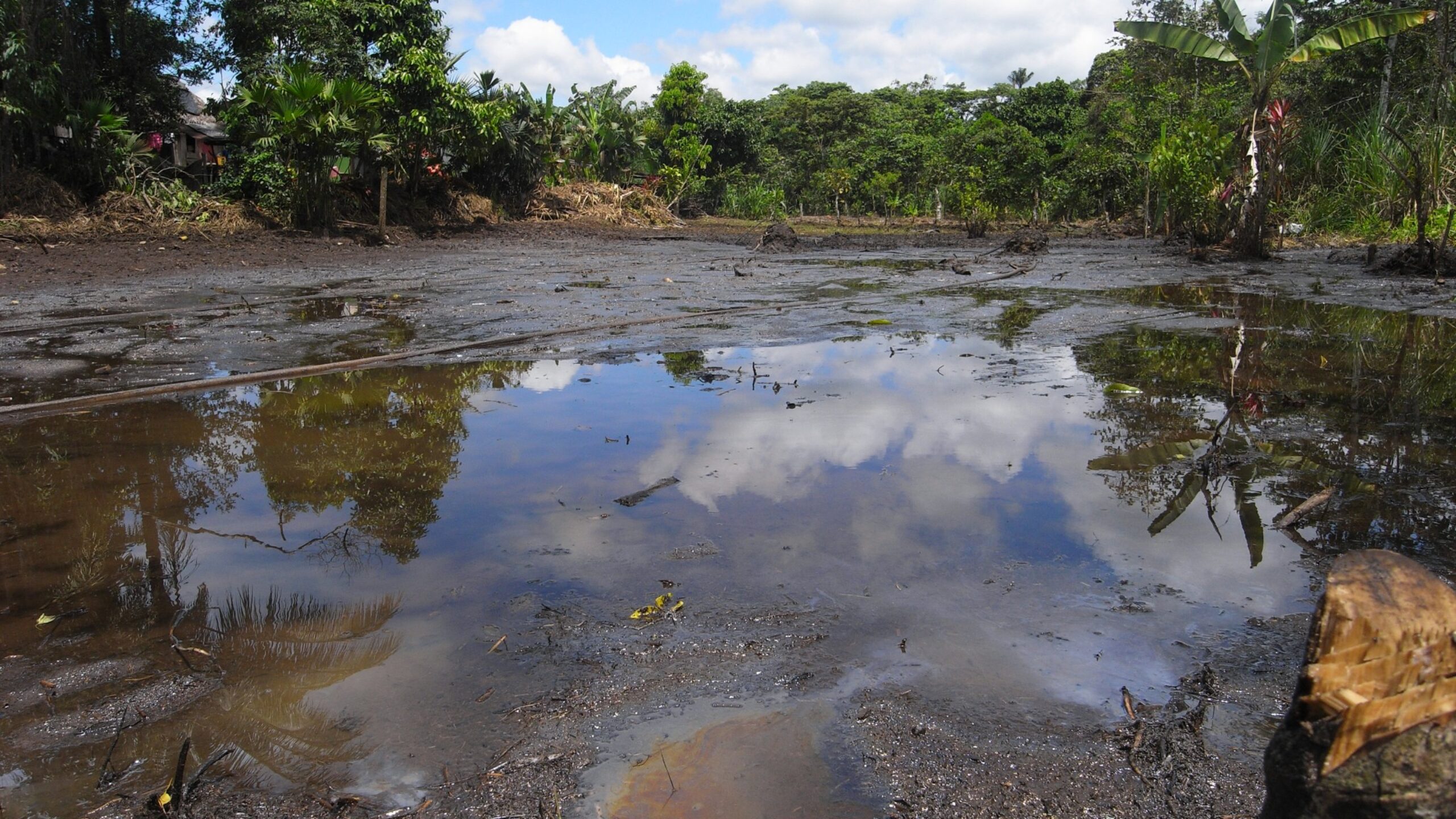 Poisoned Amazon: Nothing Safe to Drink