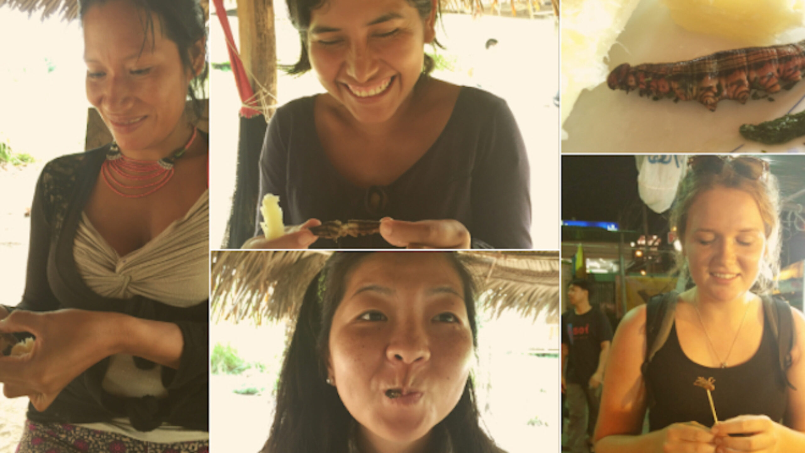 The Ghoul Earth Guide to Creepy Crawlies