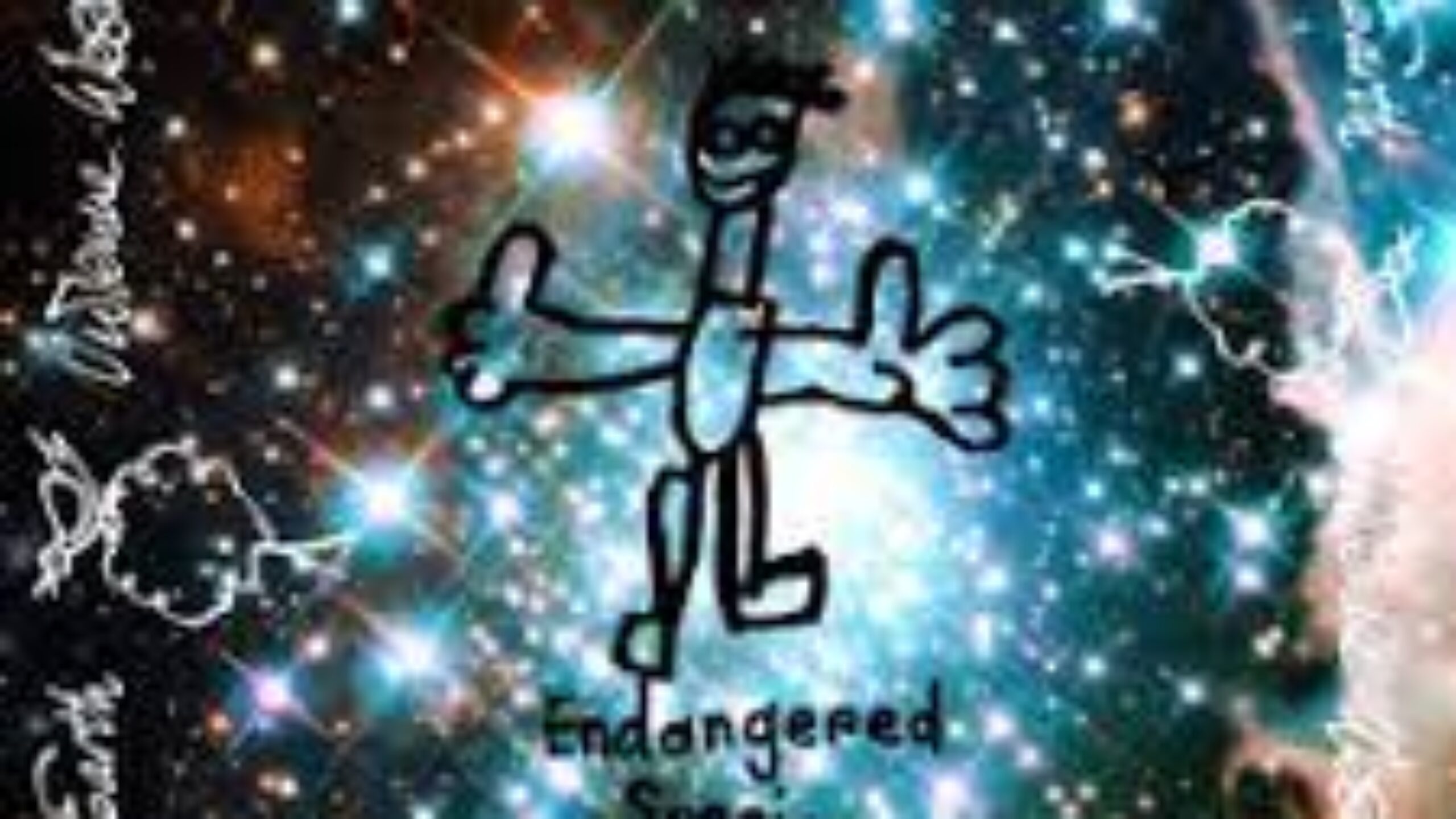 Vivienne Westwood uses the runway to launch rainforest fundraising campaign