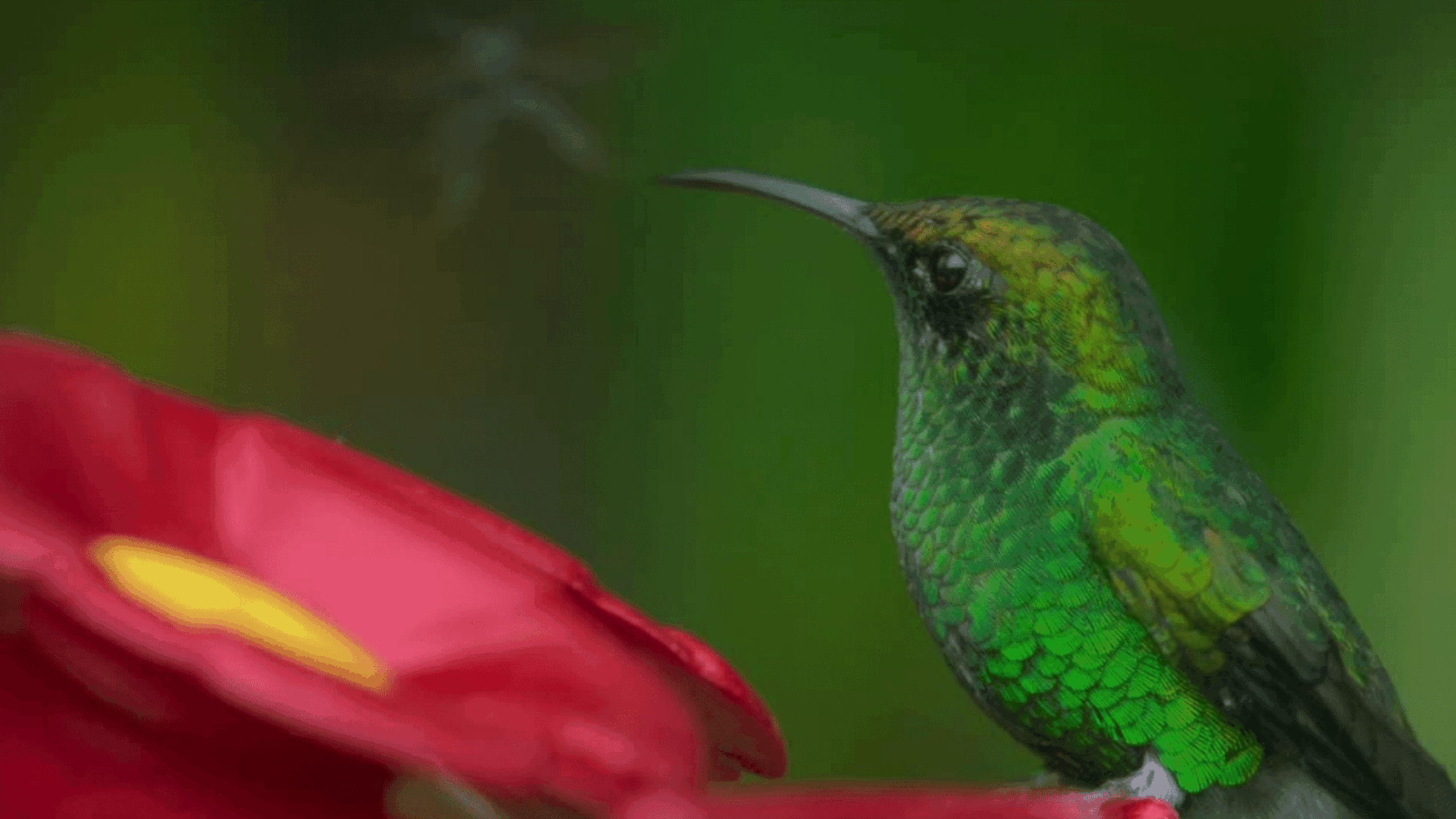 A Dose of Climate Optimism