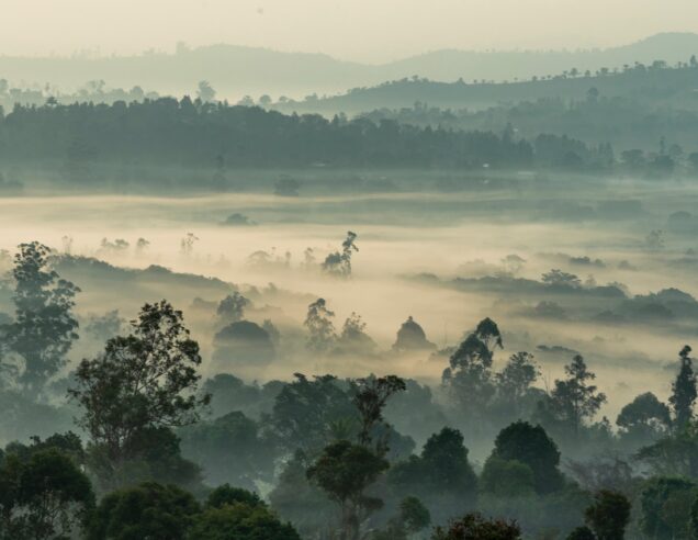 Solar Energy in Cameroon