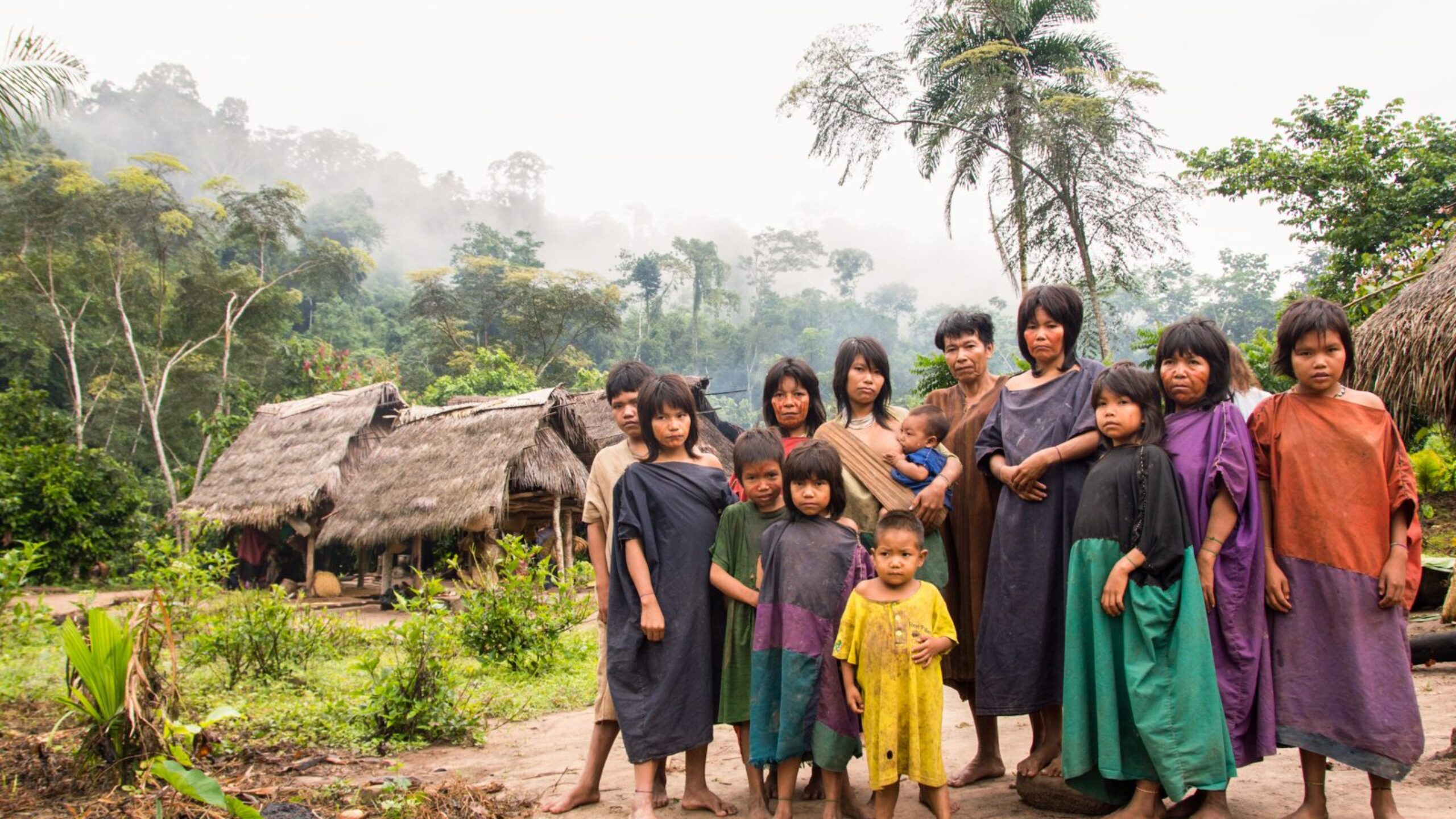 Hothouse Earth: How the Rainforest is turning on us.