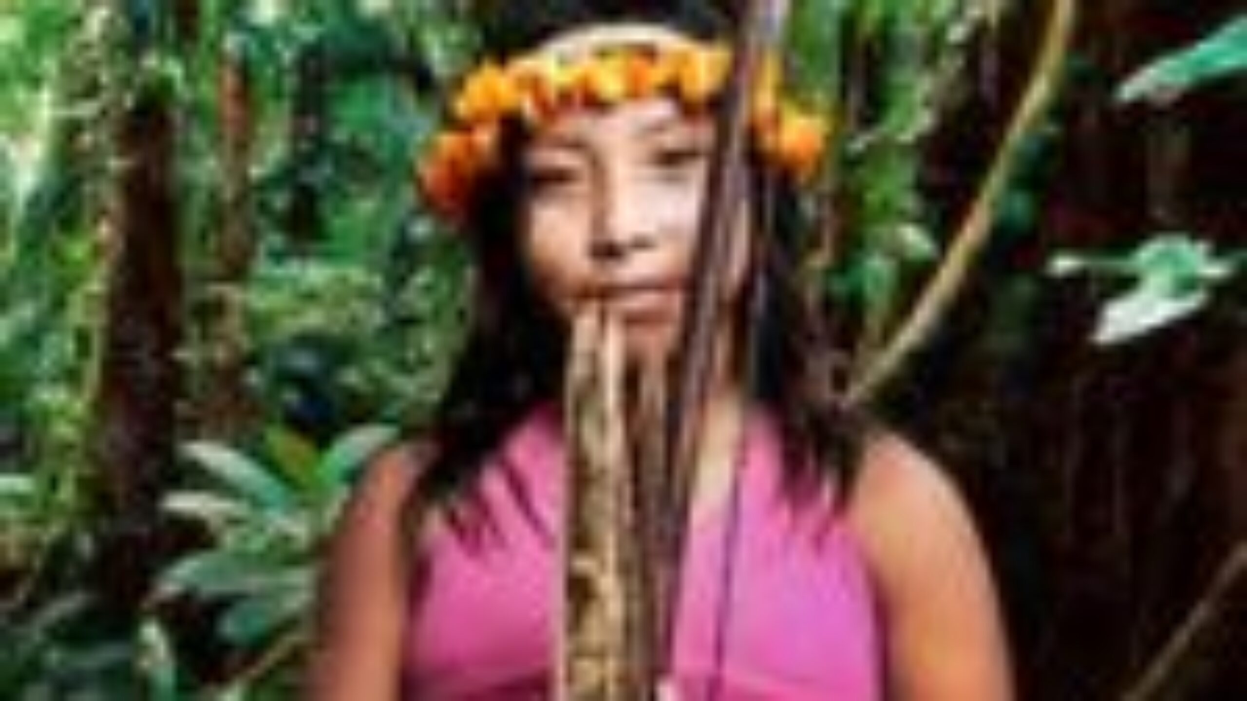 Awá demand immediate eviction of loggers