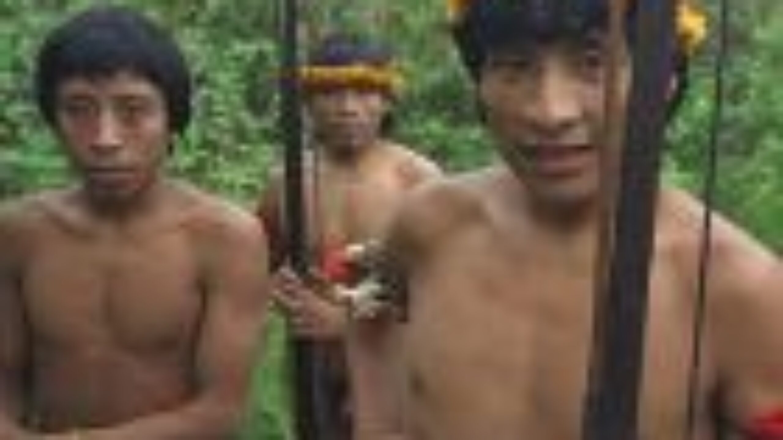 Loggers burn Amazon Indians home