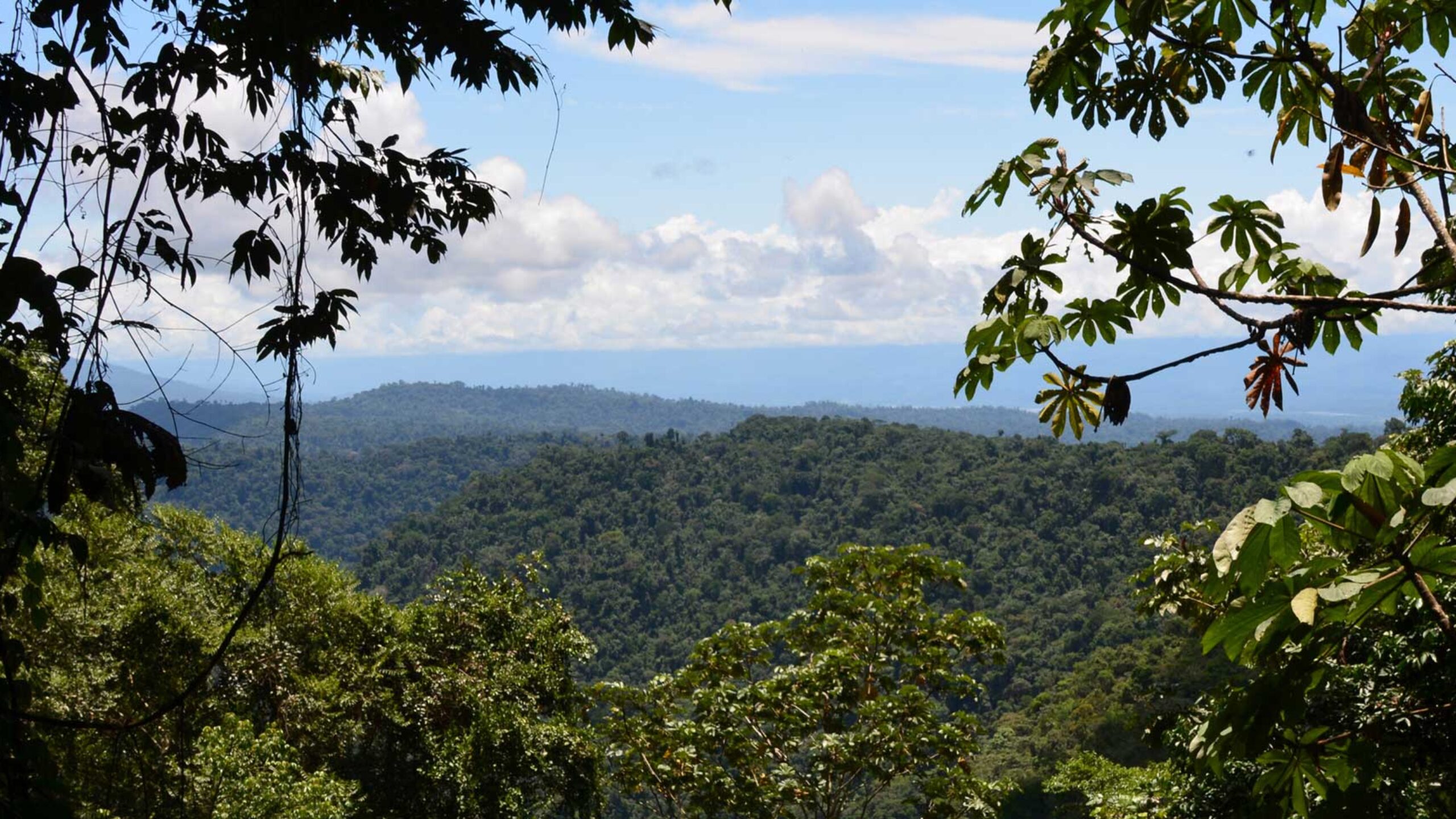 2015 Environment and Conservation Charity Award