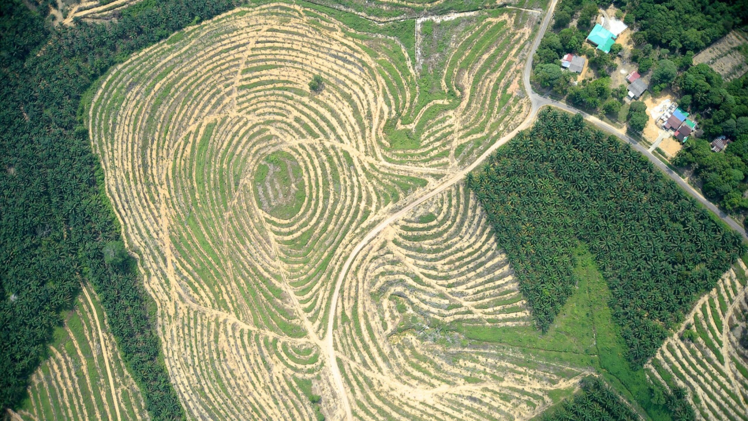 The illegal land grab in Papua New Guinea