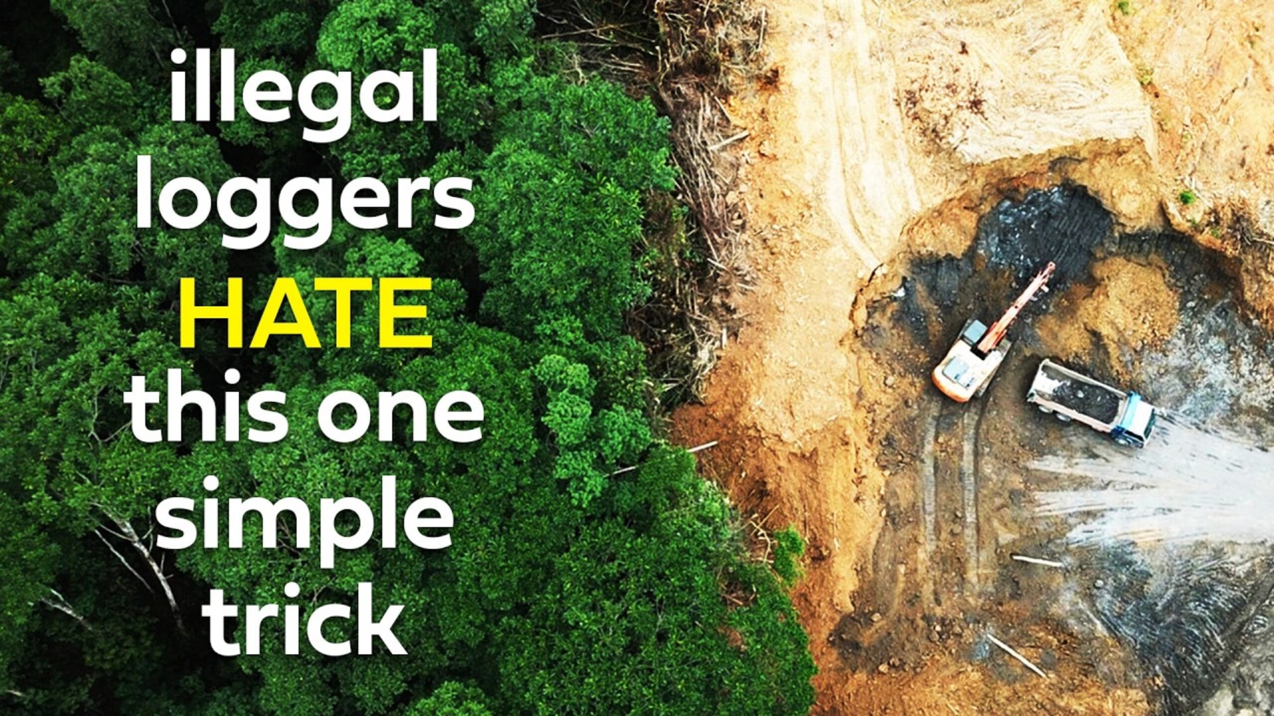 Cool Earth featured on Simon Clark&#8217;s YouTube