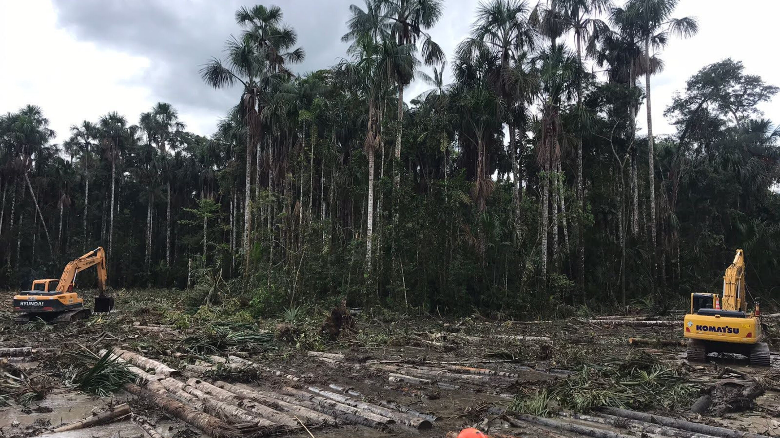 Indigenous Leaders Are Fighting Big Oil