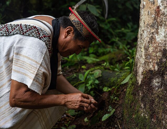 Member of the Yánesha San Gerónimo community in the nearby province of Oxapampa, department of Pasco. Image by Guillermo Carlos Gómez via Wikimedia Commons.
