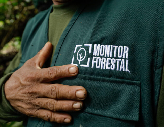 How tech helps fight deforestation