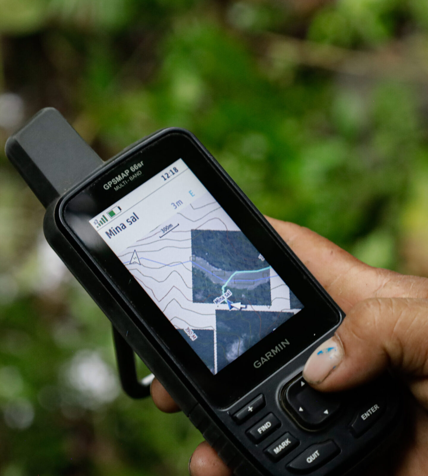 Forest Monitoring with the Asháninka