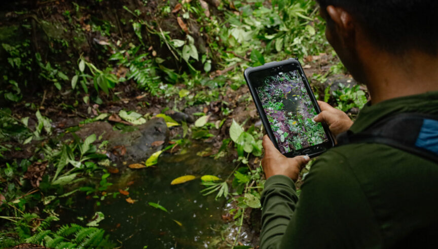 Indigenous conservation