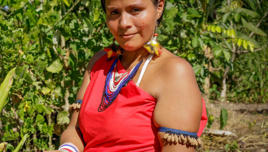 Turmeric roots are used to dye "kumpia" seeds a mustard color.
