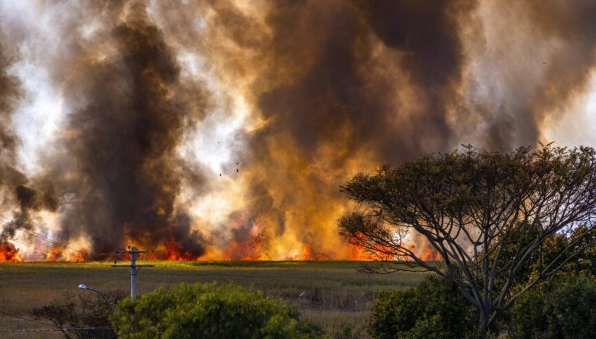 A wildfire on the horizon.