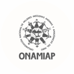 ONAMIAP logo