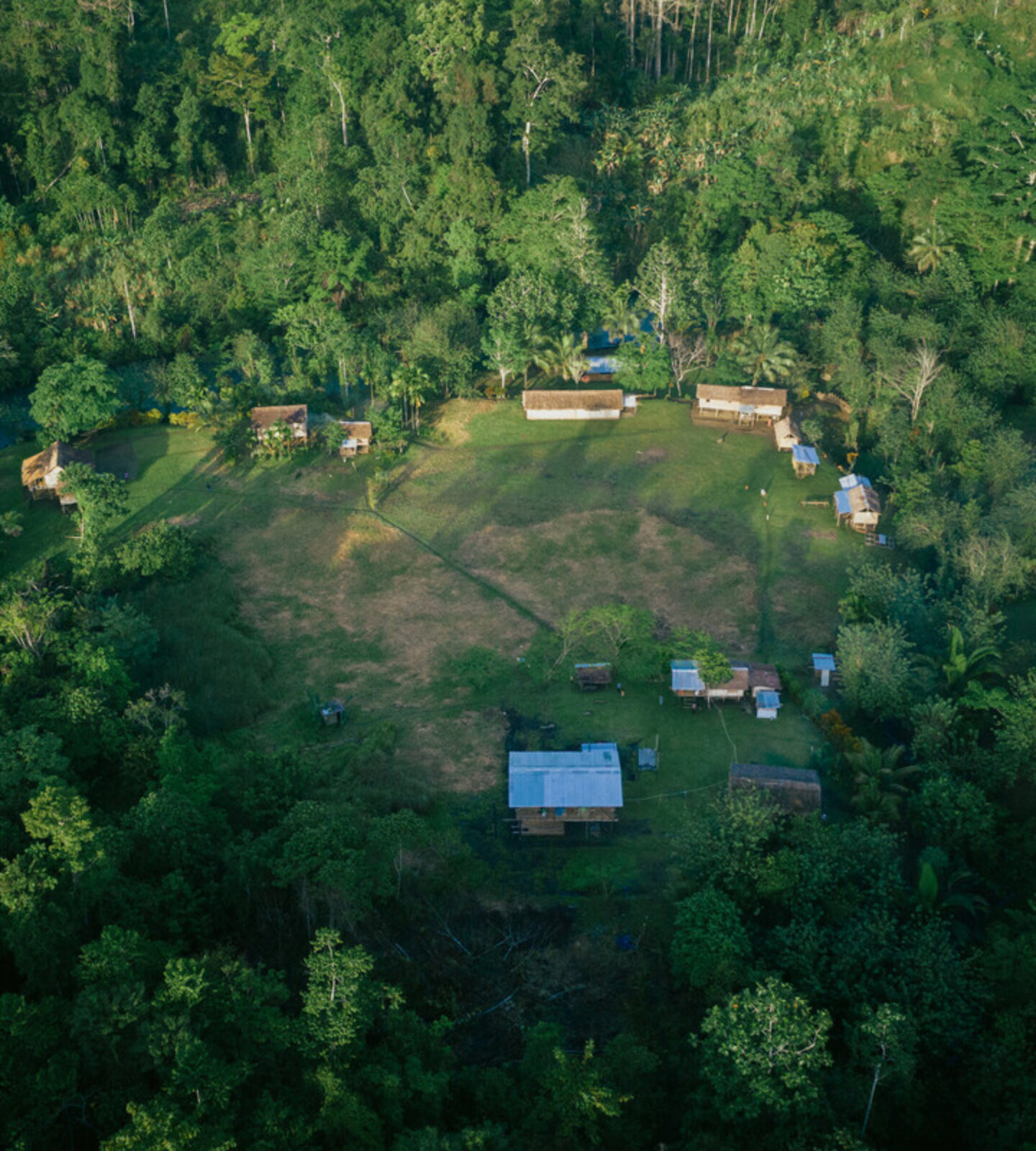 Your support =  ethical rainforest protection