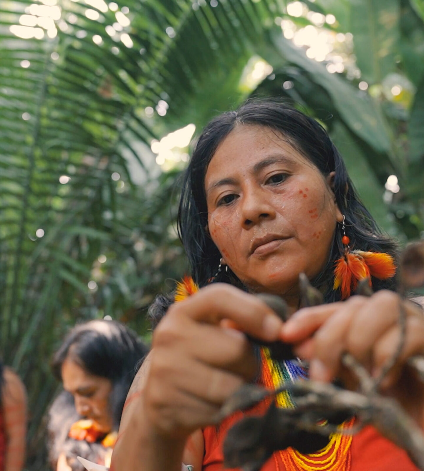 Annual Review (2024/2025)