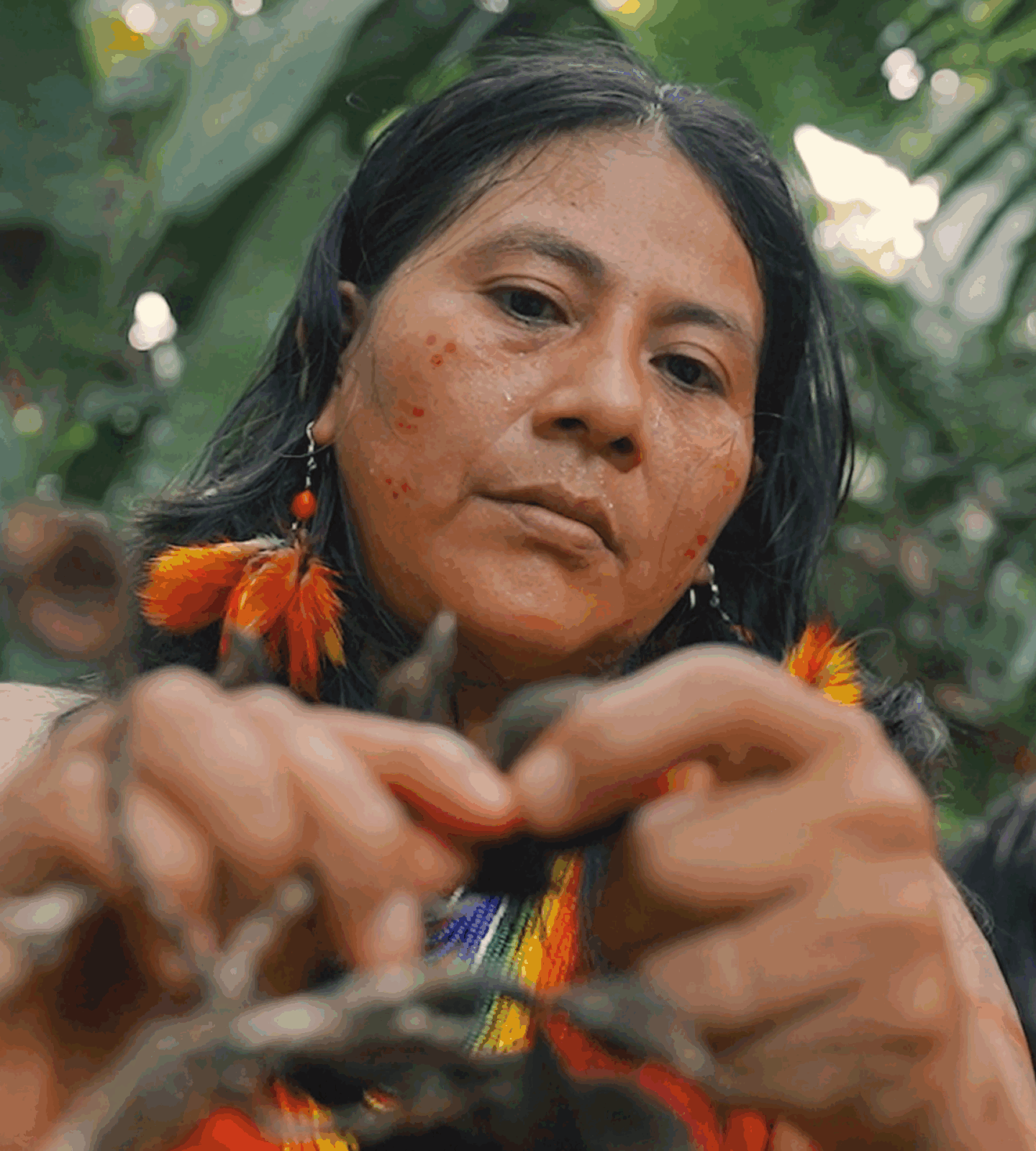 jewellery preserving the Amazon Rainforest