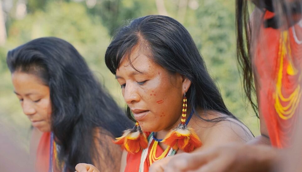 COP: 10x More Fossil Lobbyists Than Indigenous Voices