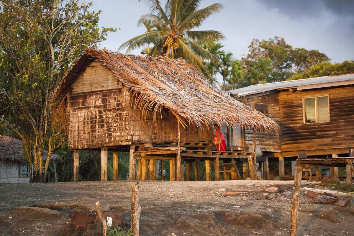A traditional wooden stilt house with a thatched palm roof in a Papua New Guinea rainforest community.