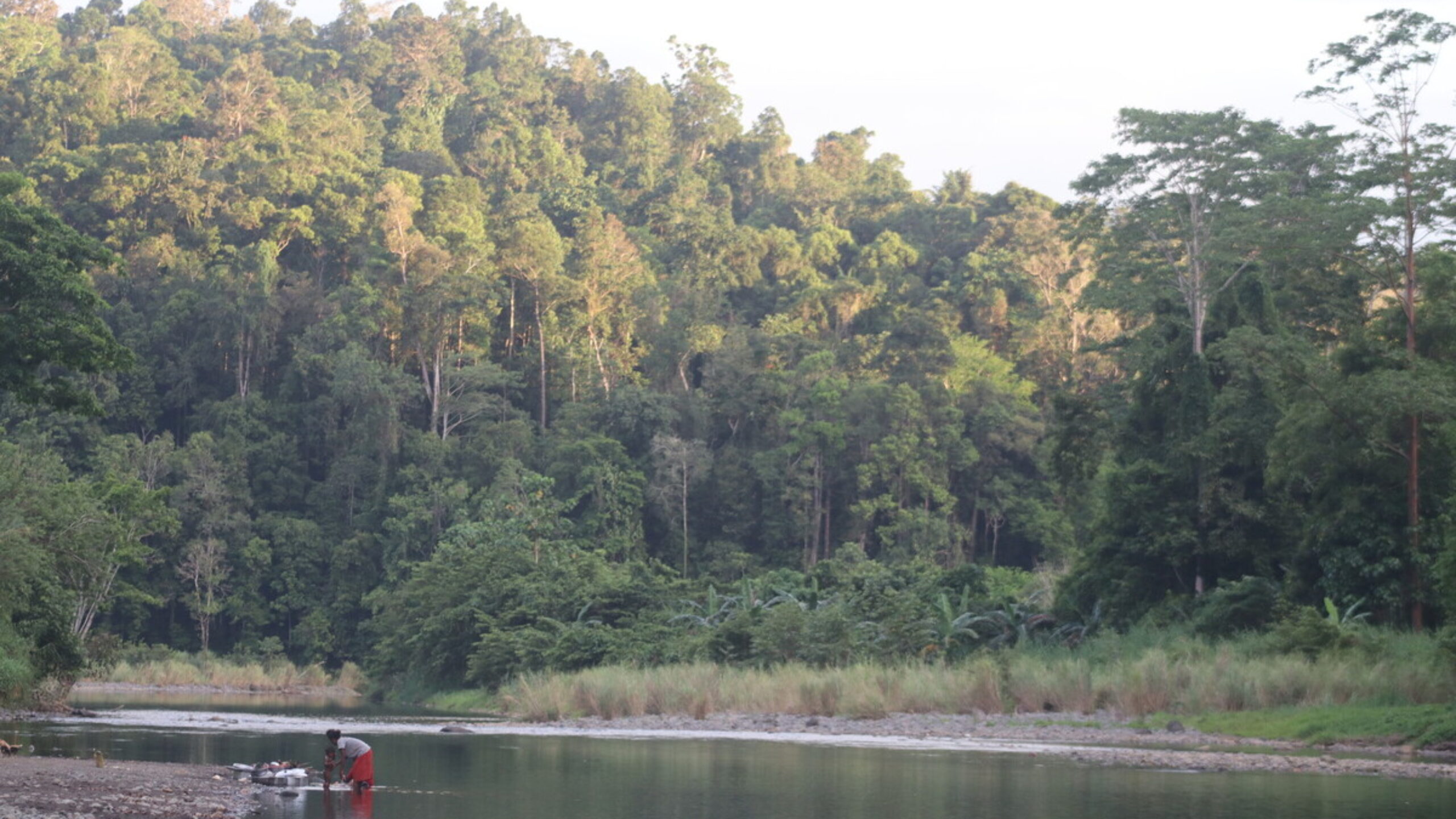 Saying no to loggers: How the Kondu community protect their forest