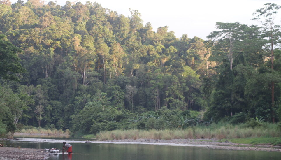 Kondu is situated in the heart of the Papua New Guinea rainforest.